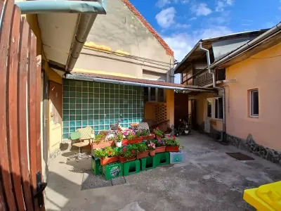 curte cu terasa si flori casa vanzare cumparare Lugoj Timiș