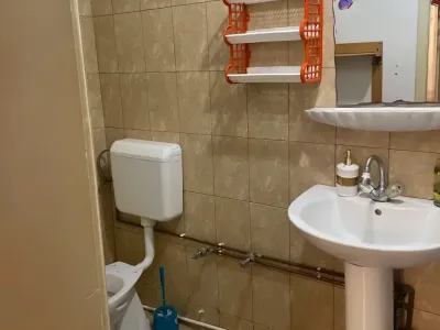 baie utilata cu oglinda casa vanzare cumparare Lugoj Timiș