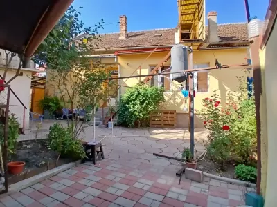 curte cu flori in ghiveci casa vanzare cumparare Lugoj Timiș