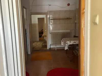 anexa cu loc de servit masa casa vanzare cumparare Lugoj Timiș