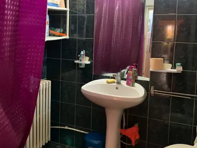 baie cu dus si toaleta casa vanzare cumparare Lugoj Timiș