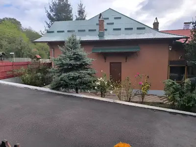 Casa de vanzare in Musatesti Arges cu acoperis verde