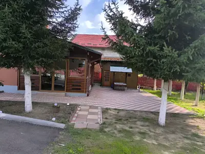 Curte casa de vanzare in Musatesti Arges cu pomi si alee