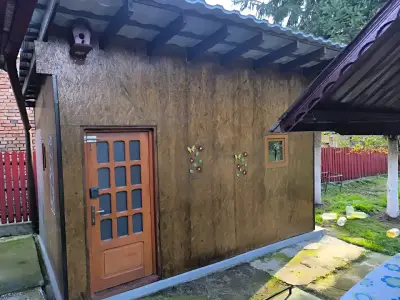 Intrare casa de vanzare in Musatesti Arges cu usa maro