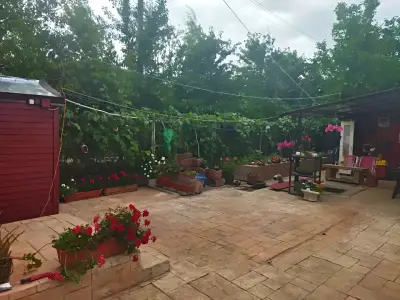 Terasa cu plante in ghiveci casa de vanzare Otopeni Ilfov