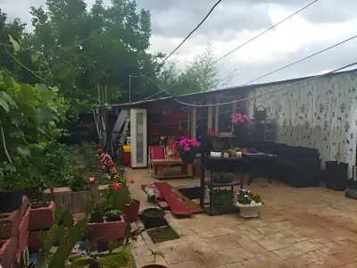 Zona terasa cu plante la casa de vanzare in Otopeni Ilfov