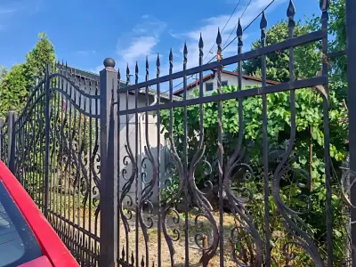 Casa de vanzare Ploiesti Prahova poarta fier forjat strada