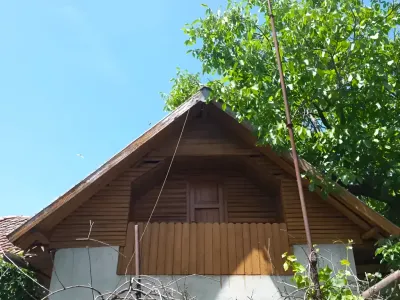 copac langa casuta lemn casa vanzare cumparare Ragu Dâmbovița