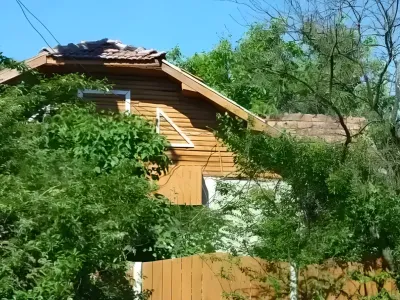 fatada casa cu pomi verzi de vanzare cumparare Ragu Dâmbovița