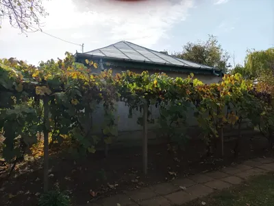 Casa vanzare cumparare Romanu Brăila pozitionata in podgorie