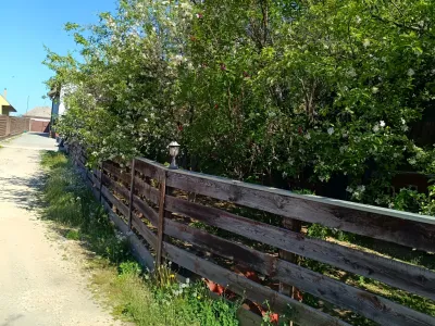 livada cu pomi fructiferi casa vanzare cumparare Săcele Brașov