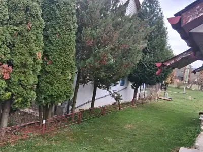 Curte casa de vanzare Stâlpeni Argeș cu arbori