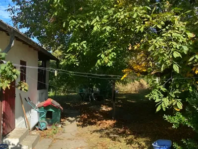 curte cu spațiu verde casă vânzare cumpărare Titu Dâmbovița