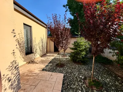 gradina cocheta amenajata vanzare cumparare casa Tunari Ilfov