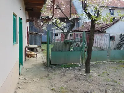 Spatiu exterior casa de vanzare-cumparare in Vad Brasov