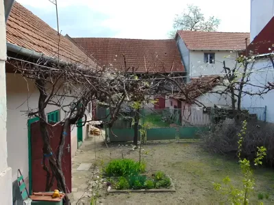 Gradina cu copac la casa de vanzare-cumparare Vad Brasov