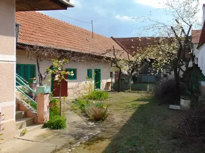 Curte mica cu copac la casa de vanzare-cumparare Vad Brasov