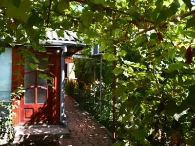 poarta acces curte casa vanzare cumparare Vânători Galați