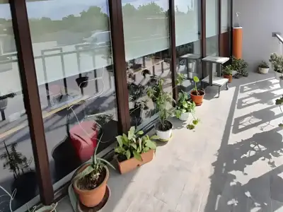 Vanzare hala Afumati Ilfov terasa cu plante decorative