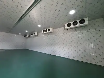 Hala de inchiriat Afumati Ilfov spatiu interior generos