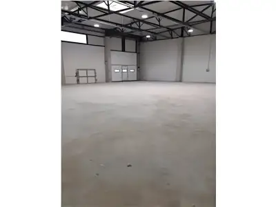 Depozit hala de vanzare Chitila Ilfov suprafata betonata