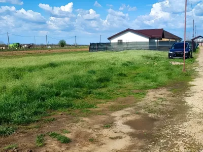Drum pe teren vanzare-cumparare Adunații-Copăceni Giurgiu