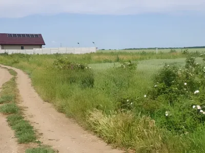 Teren de vanzare Balotești Ilfov drum pe camp cu iarba
