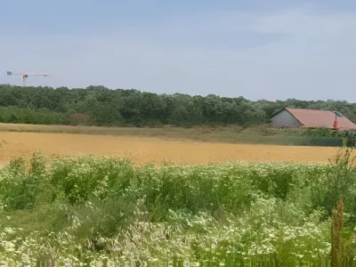 teren intravilan cu vegetație vanzare cumparare Balotești Ilfov
