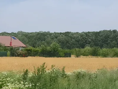 teren intravilan lan grau vanzare cumparare Balotești Ilfov