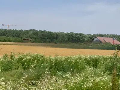 Teren extravilan arabil de vanzare in Balotesti Ilfov