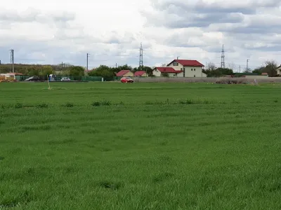 Teren intravilan vanzare cumparare Balotești Ilfov camp verde