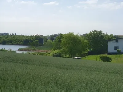 Teren de vanzare Balotești Ilfov vedere camp langa apa