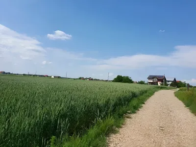 Vanzare teren intravilan Balotești Ilfov cu drum de acces