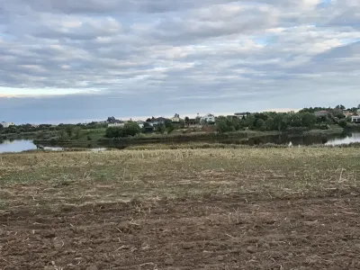 teren viran plat vanzare cumparare Balotești Ilfov cu iaz