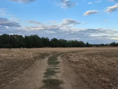 drum de acces spre teren vanzare cumparare Balotești Ilfov