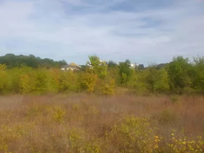 teren vanzare cumparare Balotești Ilfov spatiu verde deschis