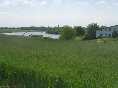 Teren intravilan de vanzare Balotești Ilfov cu verdeata