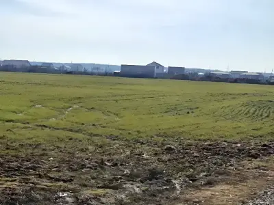 Teren de vanzare arabil in Balotești Ilfov camp verde