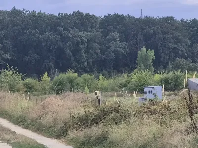 teren verde vanzare cumparare Balotești Ilfov natura camp