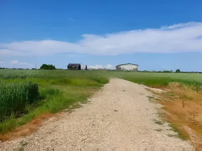 Teren de vanzare Balotești Ilfov drum acces spre hambar