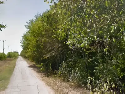 drum de acces spre teren vanzare cumparare Balotești Ilfov