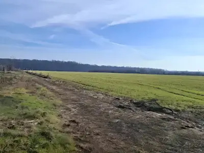 Teren de vanzare Balotești