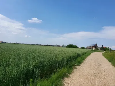 Vanzare teren intravilan Balotești Ilfov campie verdeata