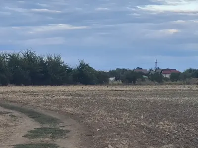 teren viran plat vanzare cumparare Balotești Ilfov verdeata