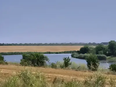 Teren extravilan arabil Balotești Ilfov vedere lac