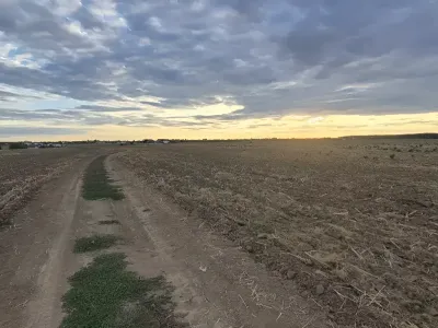 teren vanzare cumparare Balotești Ilfov cale acces pamant