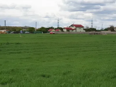 Teren intravilan vanzare cumparare Balotesti Ilfov cu verdeata