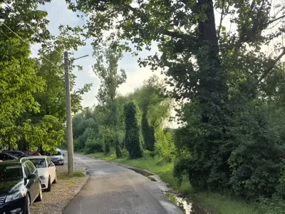 vanzare cumparare teren Balotești Ilfov strada din cartier