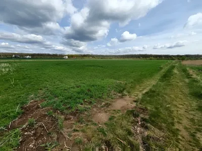 Teren extravilan arabil de vanzare in Balotesti Ilfov