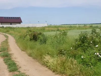 Vanzare teren Balotești Ilfov cu drum de pamant si iarba
